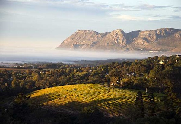 Weinregion Südafrika - Franschhoek