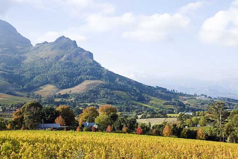 SuedafrikaStellenboschClouds Wine Estate