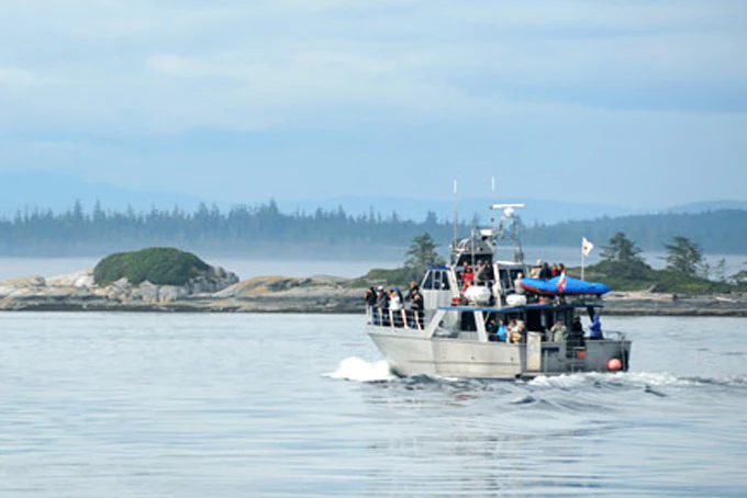 AusfluegeBritish ColumbiaJohnstoneStraitWhaleWatchin