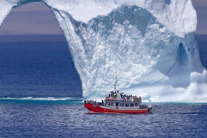 AusfluegeNeufundlandIcebergQuestBoatTour3