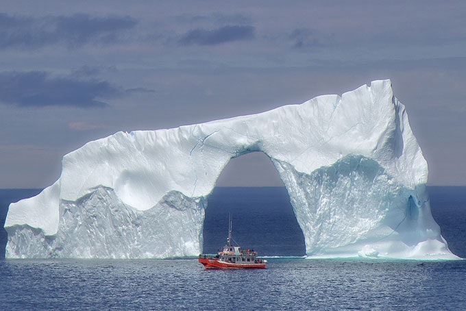 AusfluegeNeufundlandIcebergQuestBoatTour4