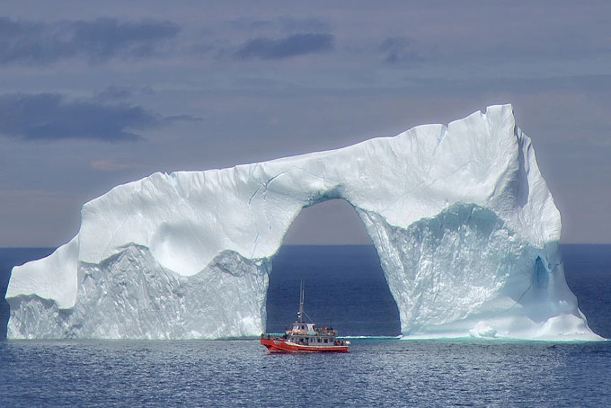 AusfluegeNeufundlandIcebergQuestBoatTour4