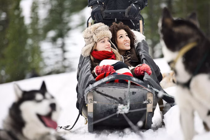 SkiABJasperDogSledding1