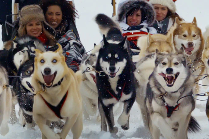 SkiABJasperDogSledding3