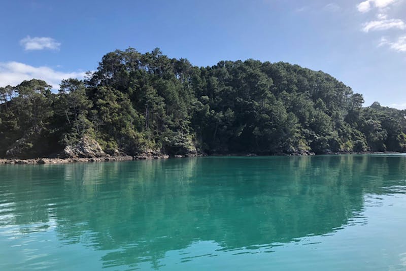 Neuseelandbay of Islands 2