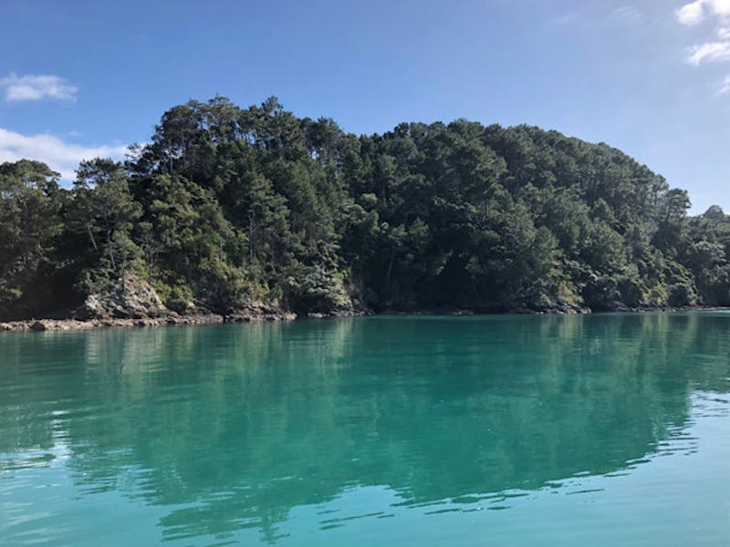 Neuseelandbay of Islands 2