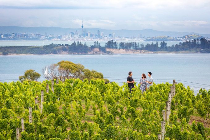 NeuseelandWaihekeIsland Auckland