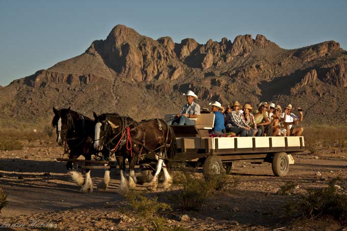 HotelArizonaWhiteStallion Waggon