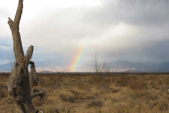 HotelArizonaStagecoachAussen3