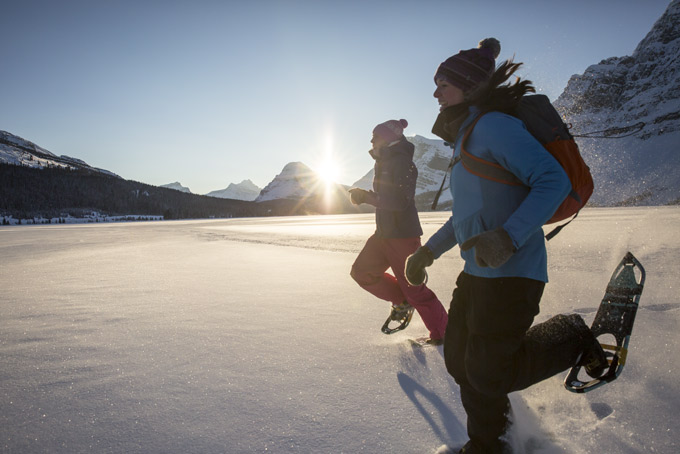AlbertaWinter snowshoe2