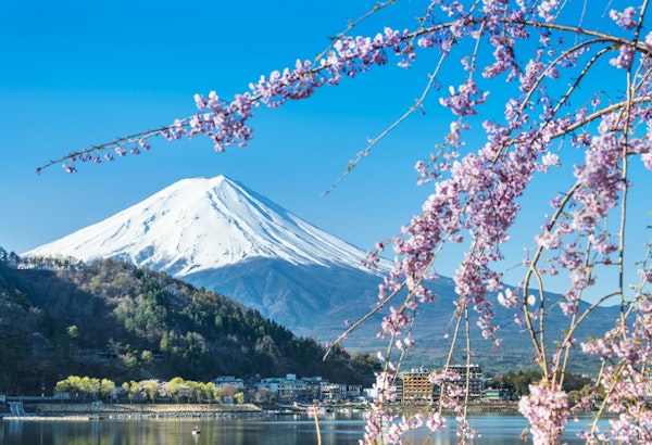 JapanTokioTokyo Mt Fuji during cherry