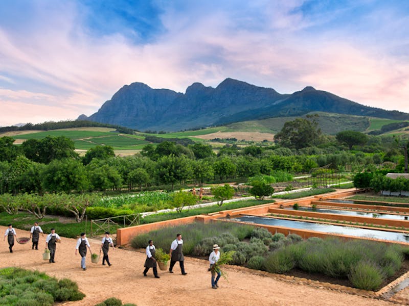 HotelSuedafrikaBabylonstorengarden