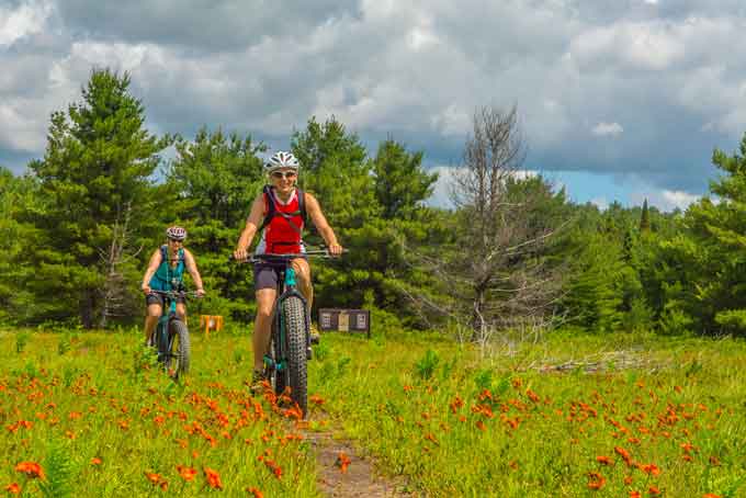 OntarioBikingAlgonquin2