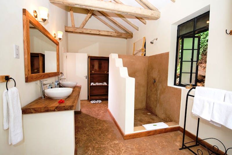 UgandaClouds Mountain Gorilla Bad