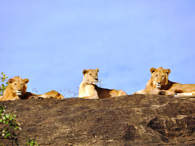 UgandaKidepo Valley Loewen