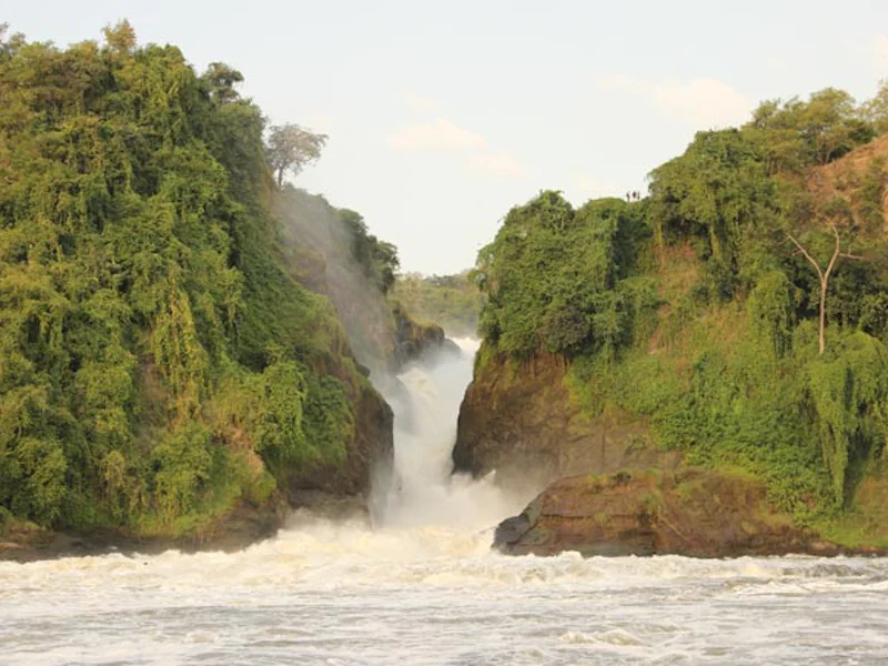 UgandaMurchison Falls Wasserfall