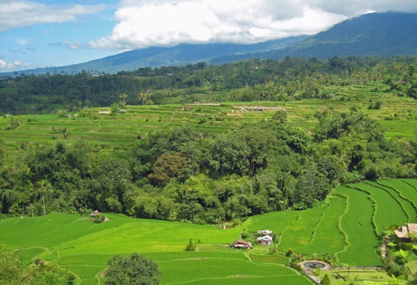 IndonesienBali Landschaft
