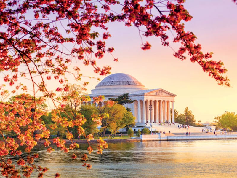 DCJefferson Memorial Cherry B