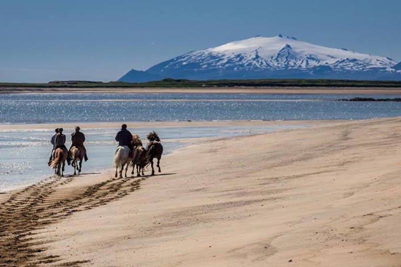IslandWestisland