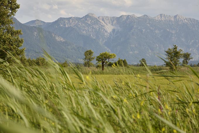 HotelDeutschlandAlpenhof Besichtigung2