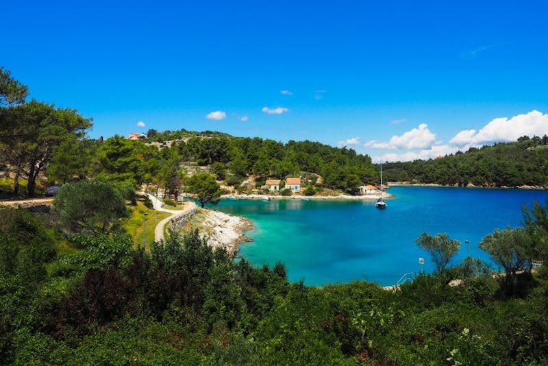 KroatienLosinjLosinj ante hamersmit unsplash