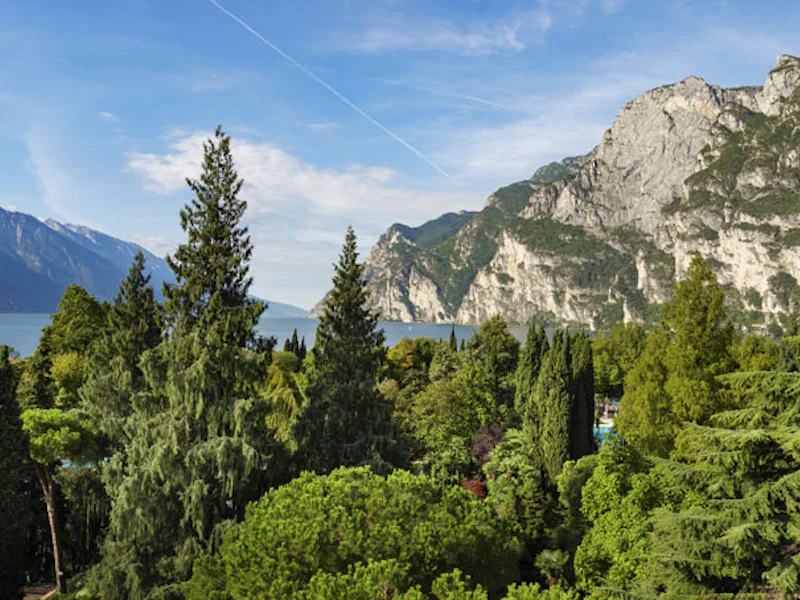 HotelItalienGardaseeDuLacEtDuParc Seeblick