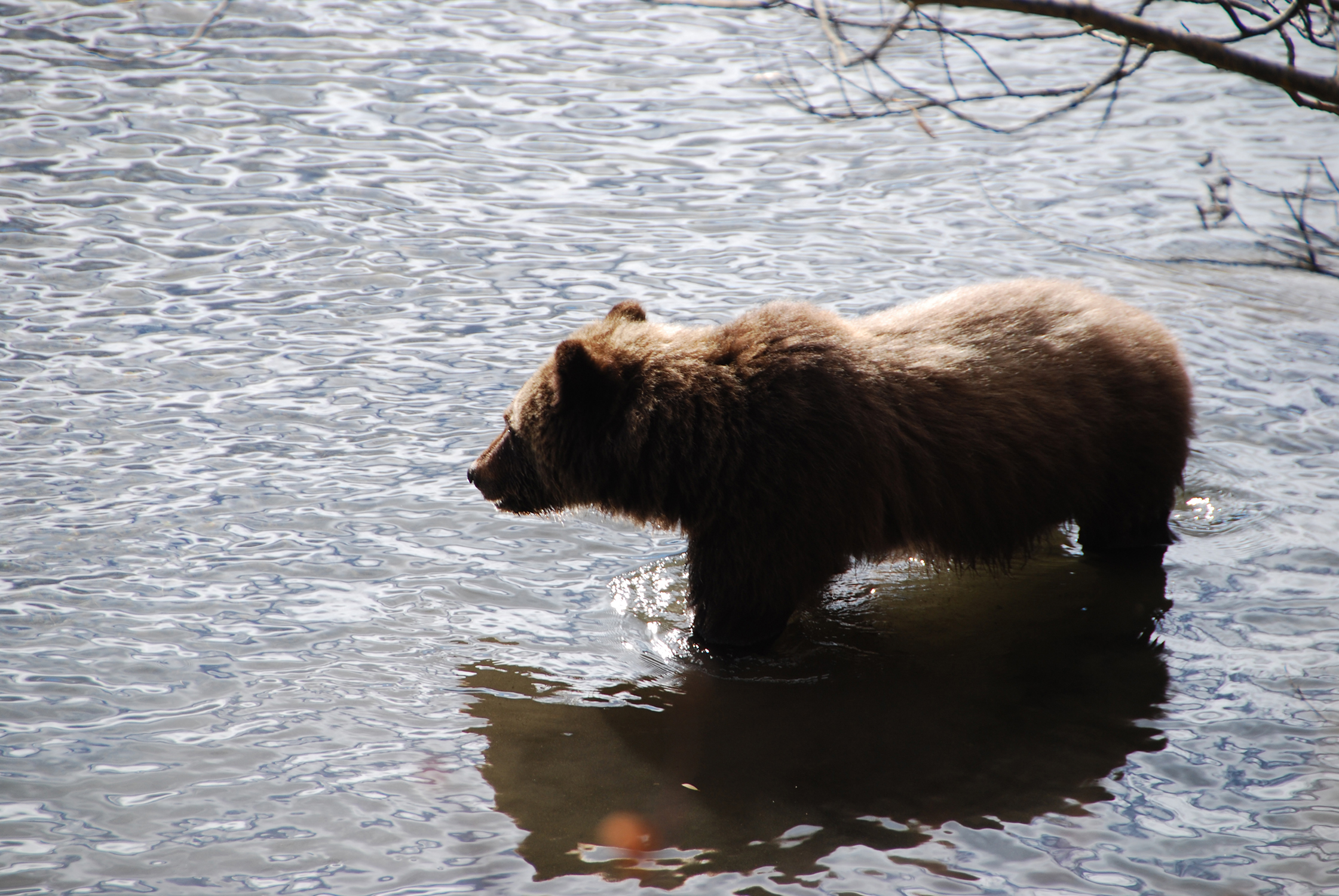 HotelBritish ColumbiaTerraNostra2
