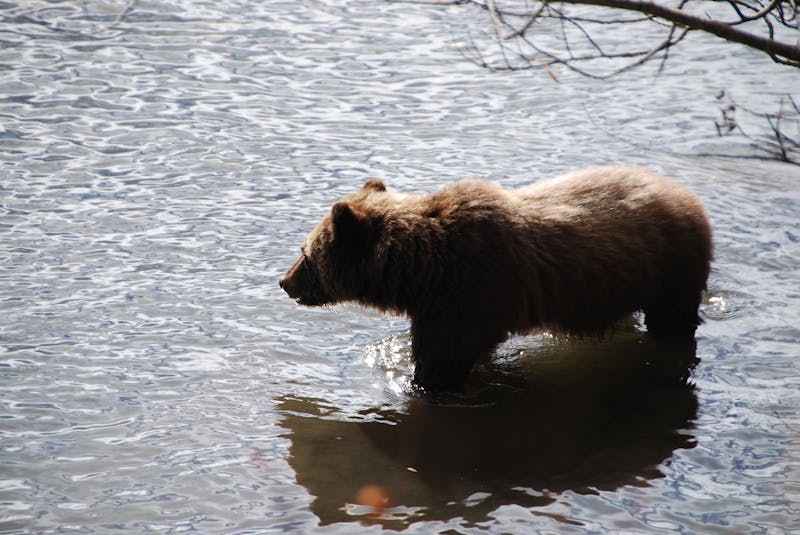 HotelBritish ColumbiaTerraNostra2