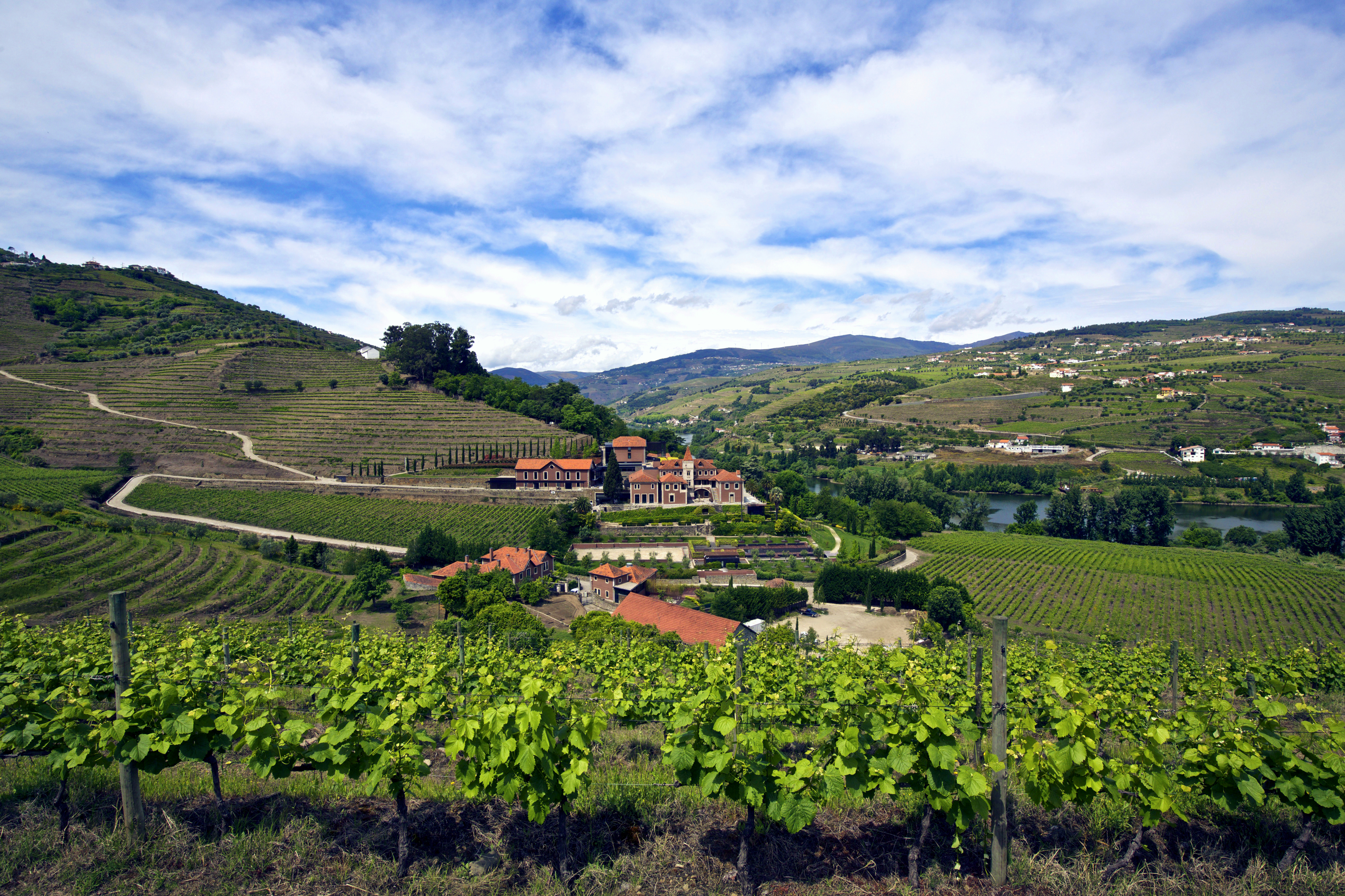 HotelPortugalSix Senses Douro ValleyExterior panorama