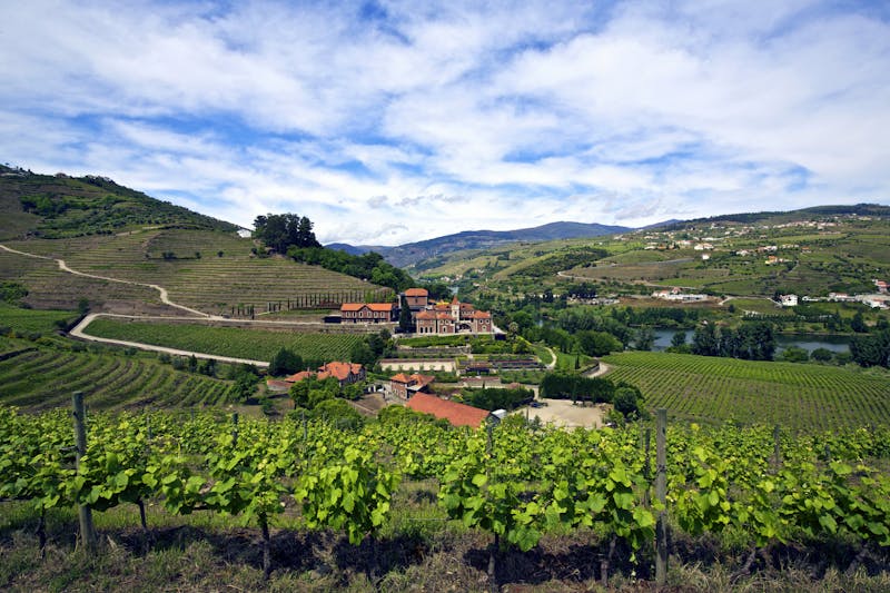 HotelPortugalSix Senses Douro ValleyExterior panorama