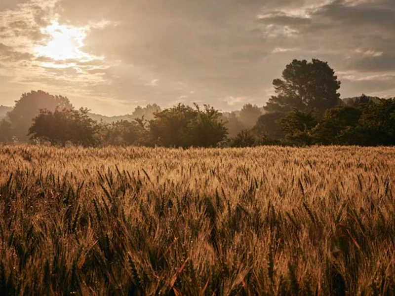 HotelSpanienIbizaSix Senses IbizaThe Farm