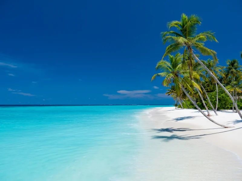 HotelMaledivenBaglioni Resort Maldives Aerial Beach 1