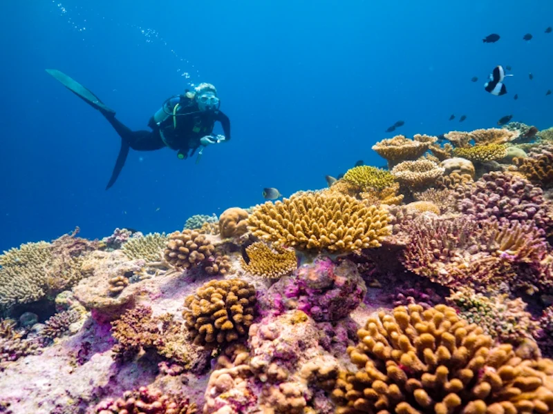 HotelMaledivenBaglioni Resort Maldives Diving Excursion 1