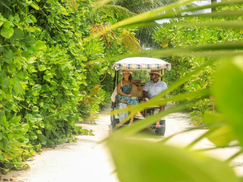 HotelMaledivenBaglioni Resort Maldives Vegetation Buggy