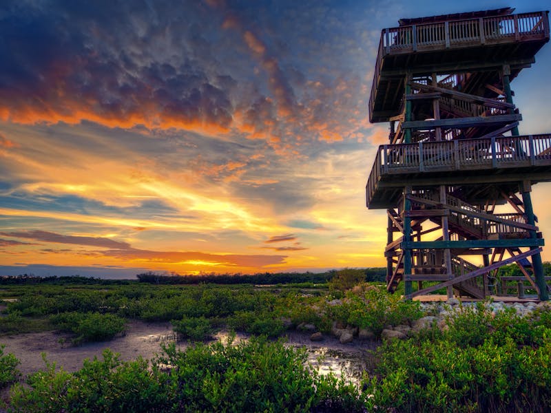 FloridaBradenton RobinsonReserve