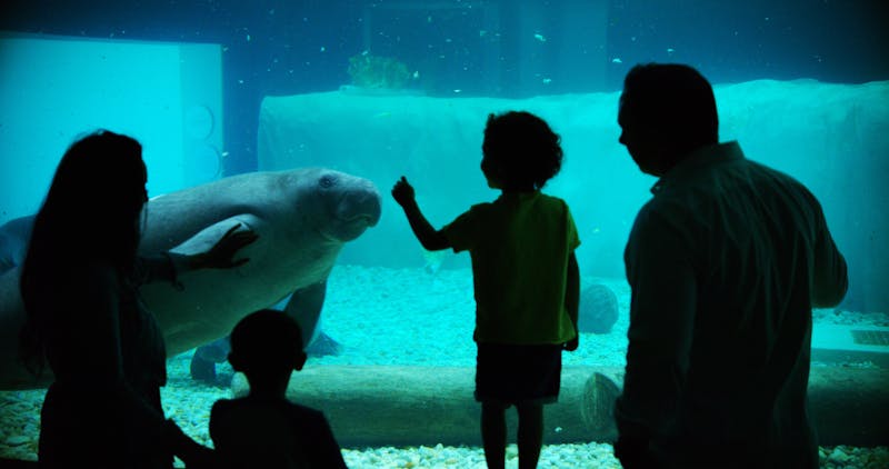 FloridaBradenton BishopMuseum