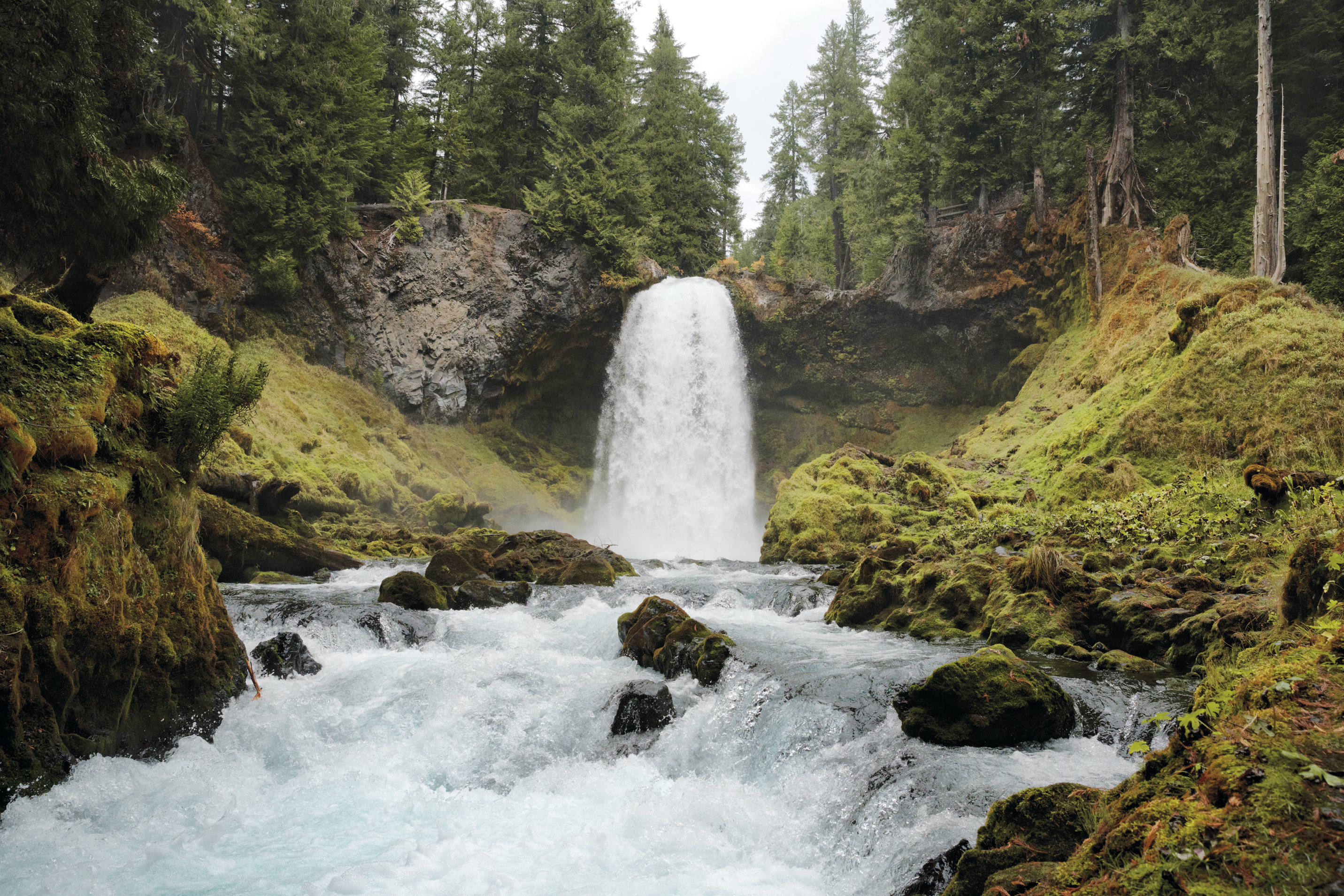 Credit by traveloregon.com