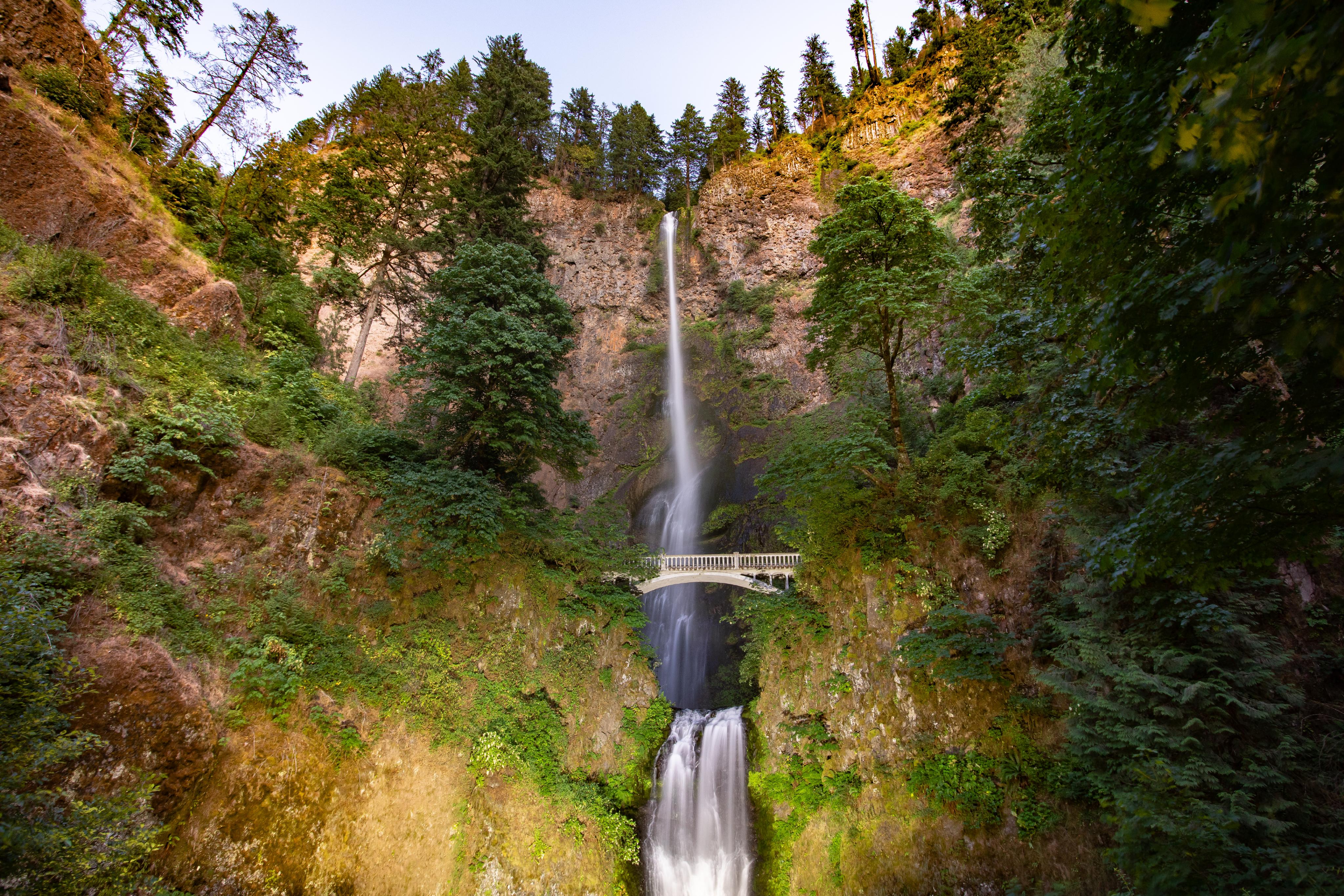 Credit by Katie Falkenberg