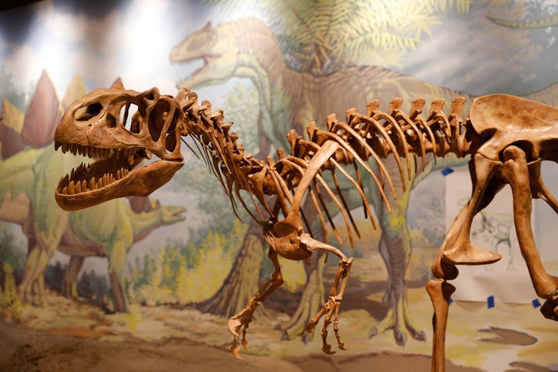 Credit:Utah Offcie of Toursim/MarcPiscotty