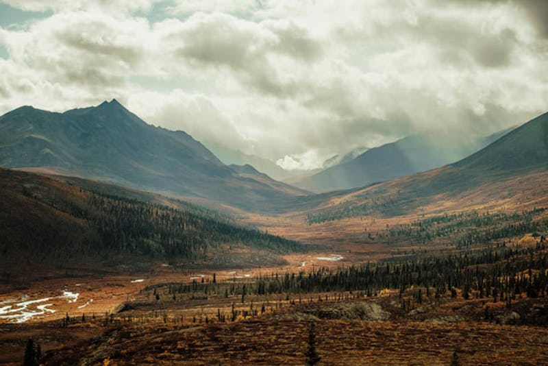 YukonTombstoneTerritorialPark5