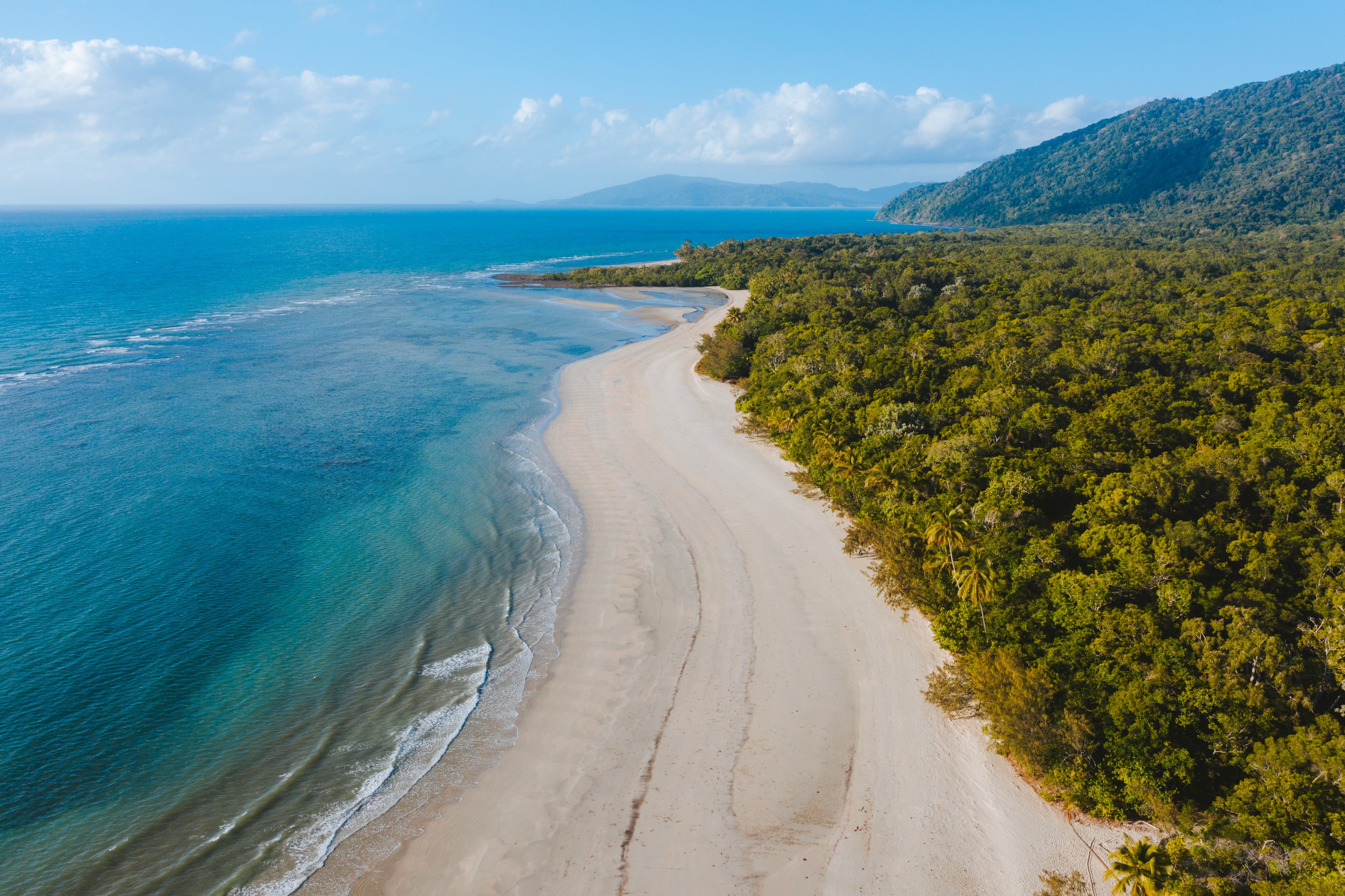 Daintree Nationalpark