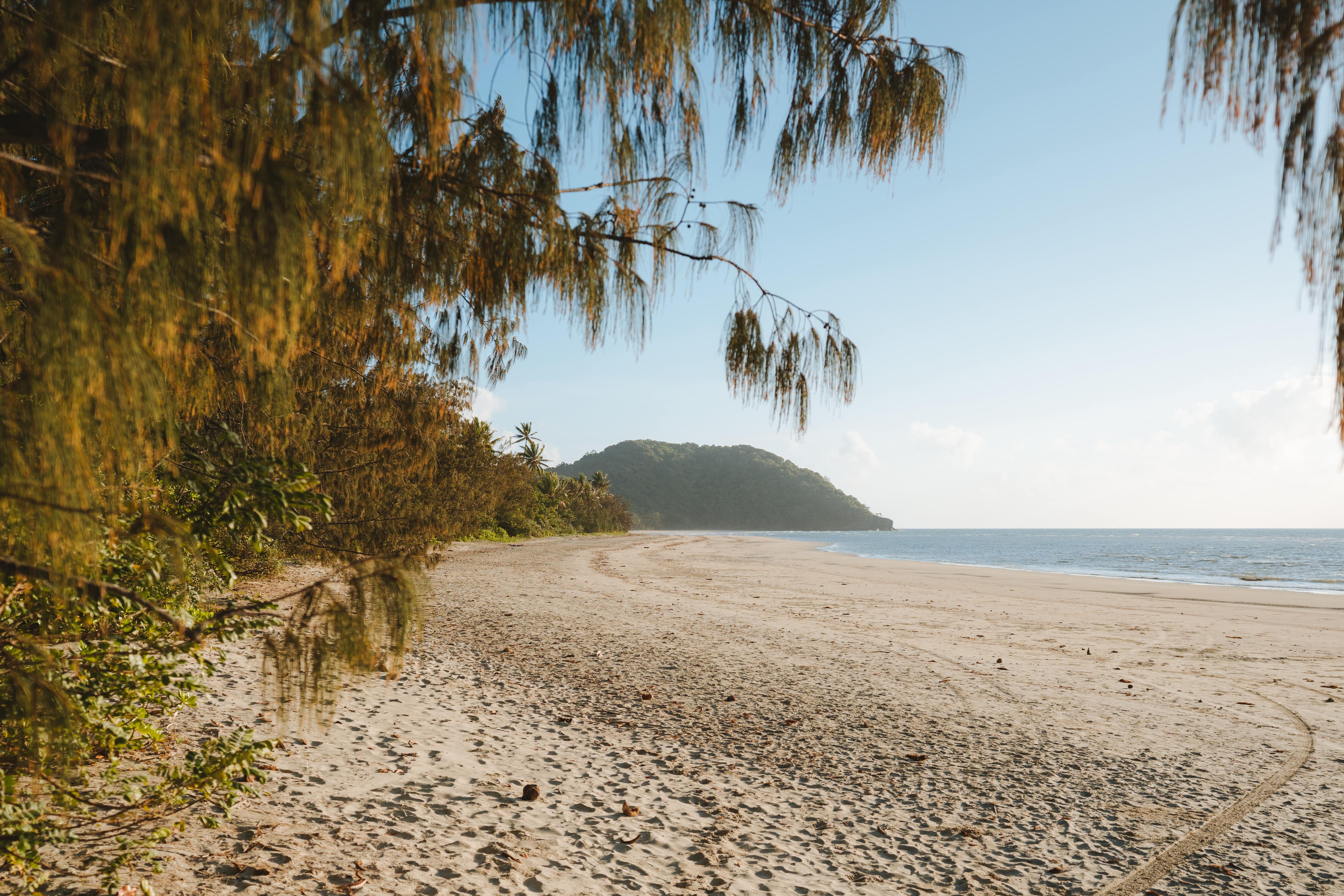 Daintree Nationalpark, Cape Tribulation