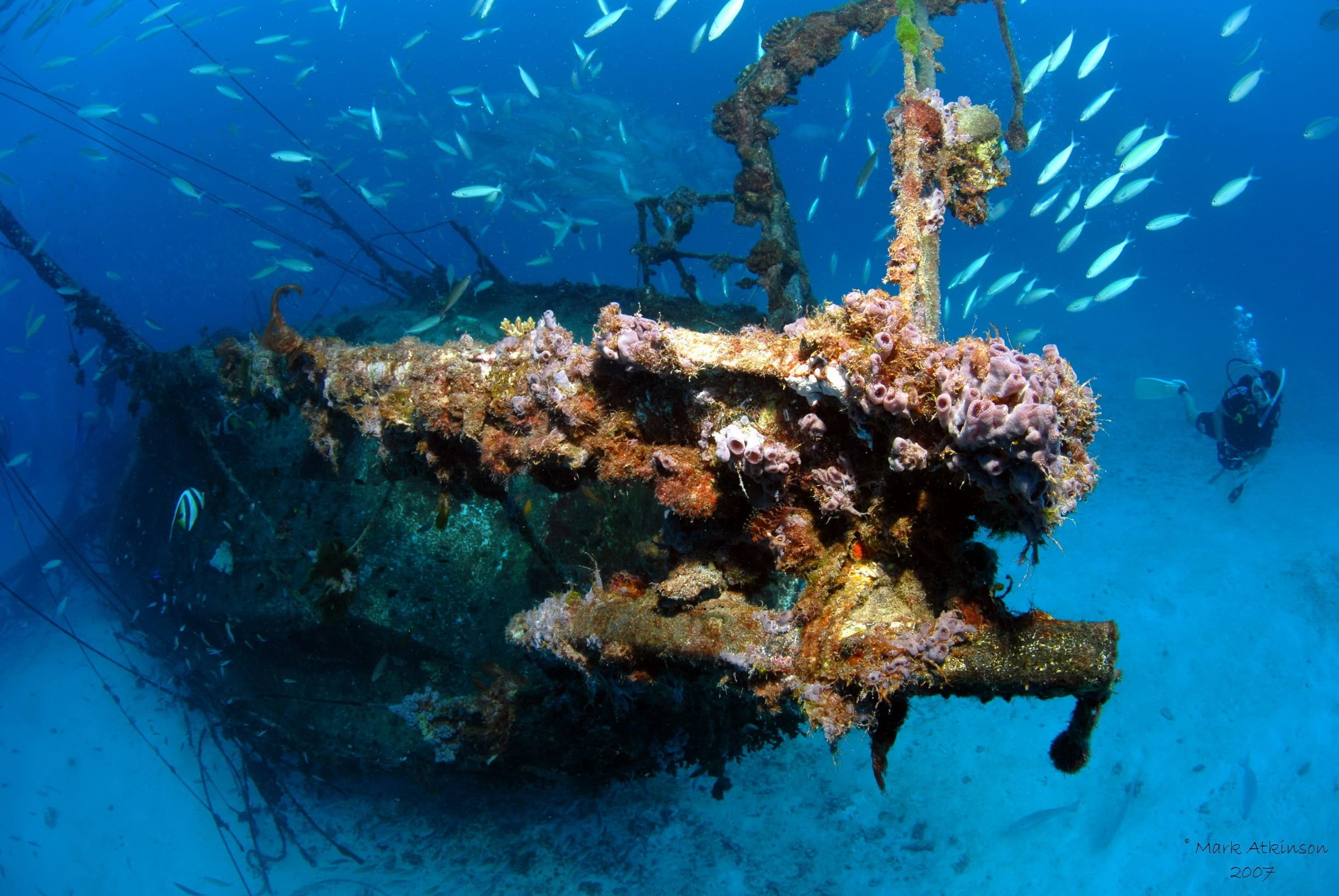 AustralienQueenslandLadyElliotIslandEcoResort2