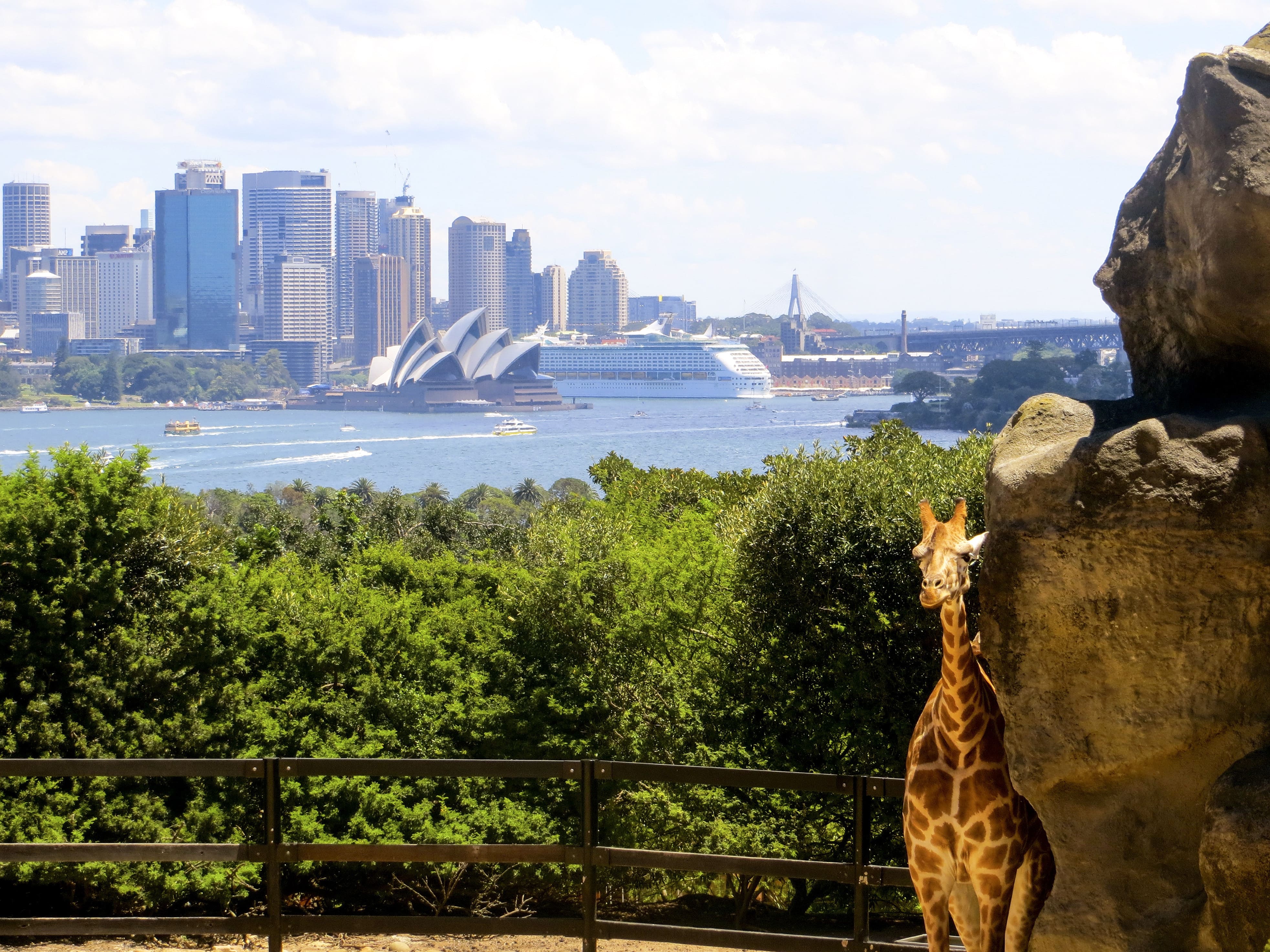 Sydney, Zoo