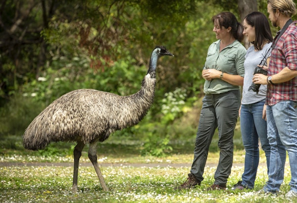 AustraliaTourism