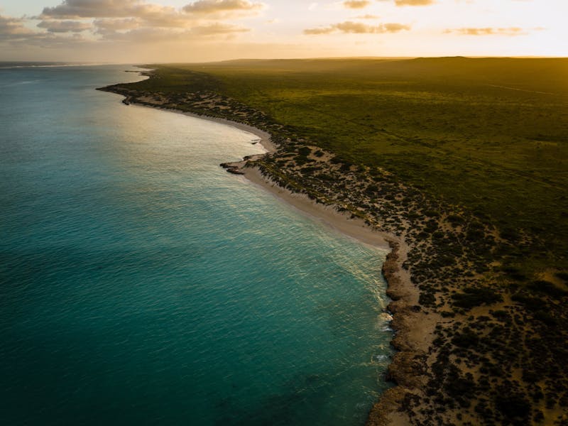 CoralCoast