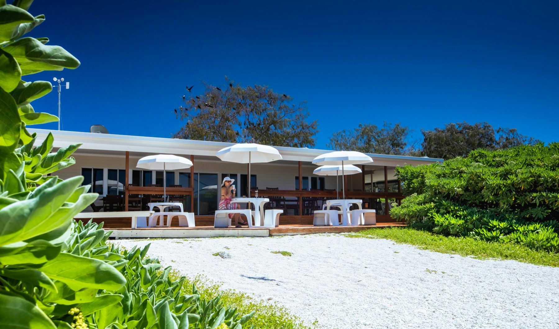 Photocredit: Lady Elliot Island