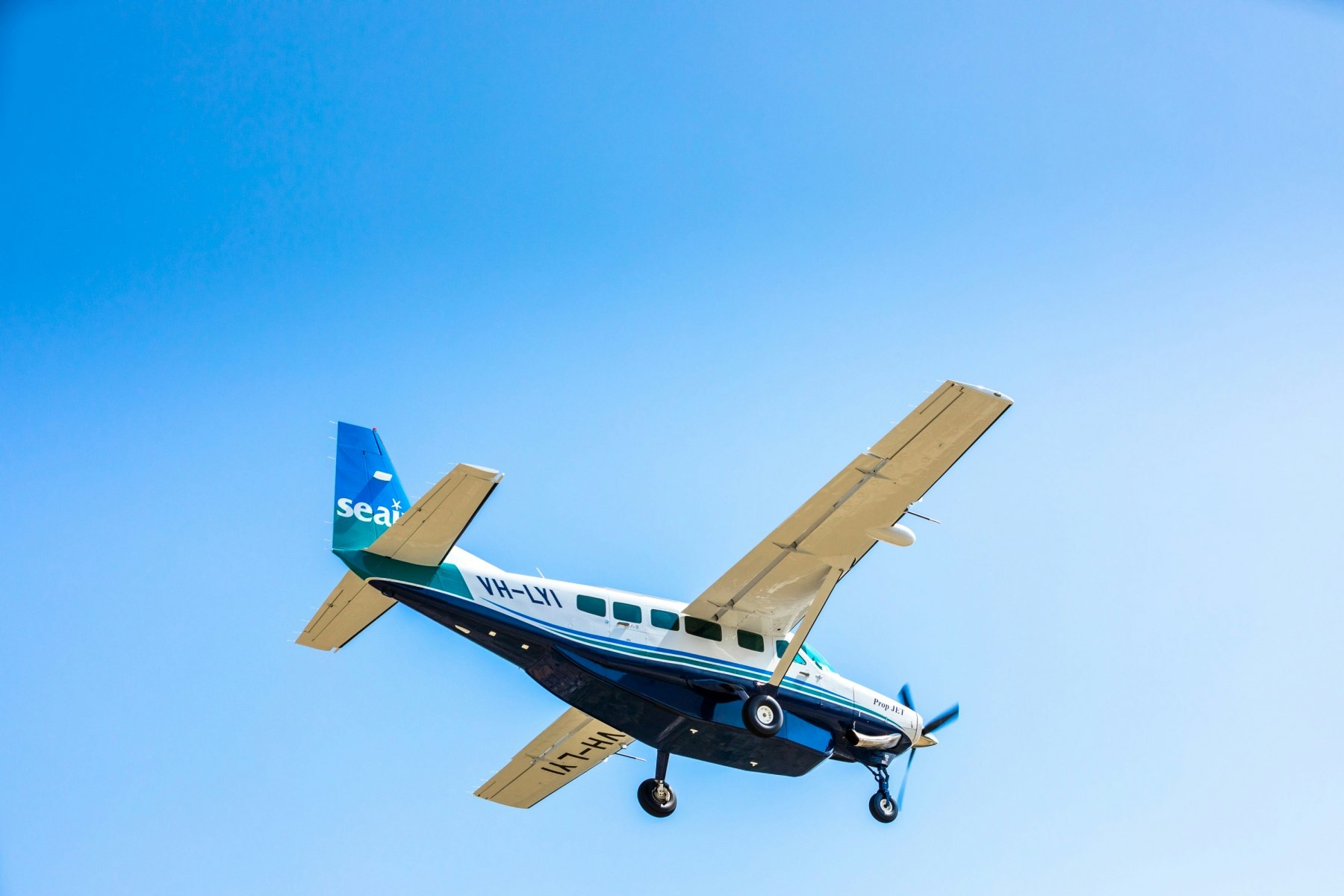 Photocredit: Lady Elliot Island