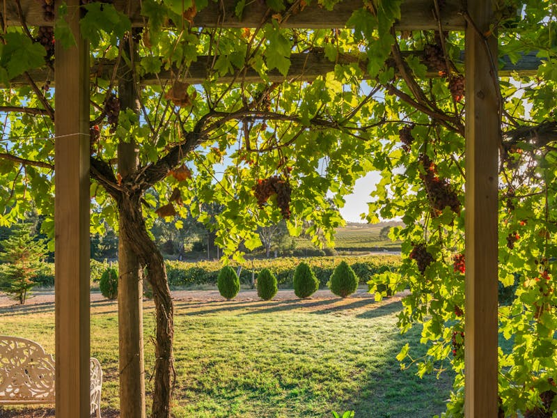 Photocredit: Barossa Shiraz Estate