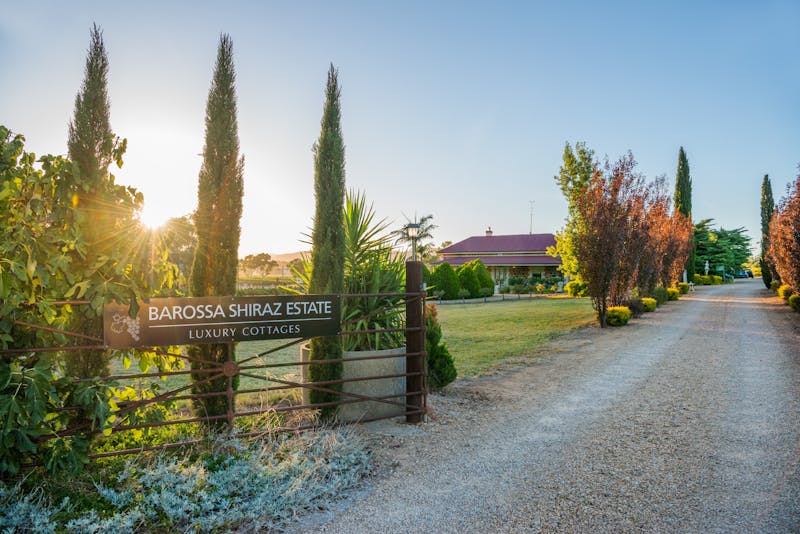 Photocredit: Barossa Shiraz Estate